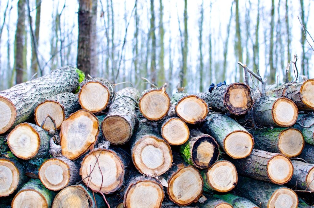 Die Vielseitigkeit von Holz
